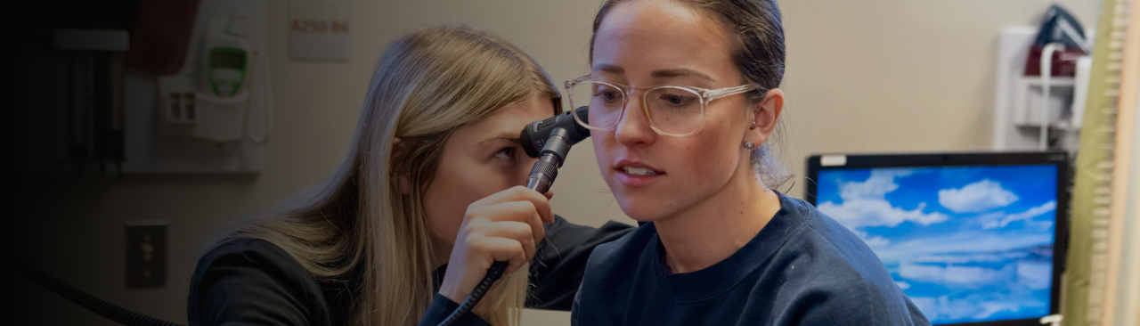 Two UMSN students working together