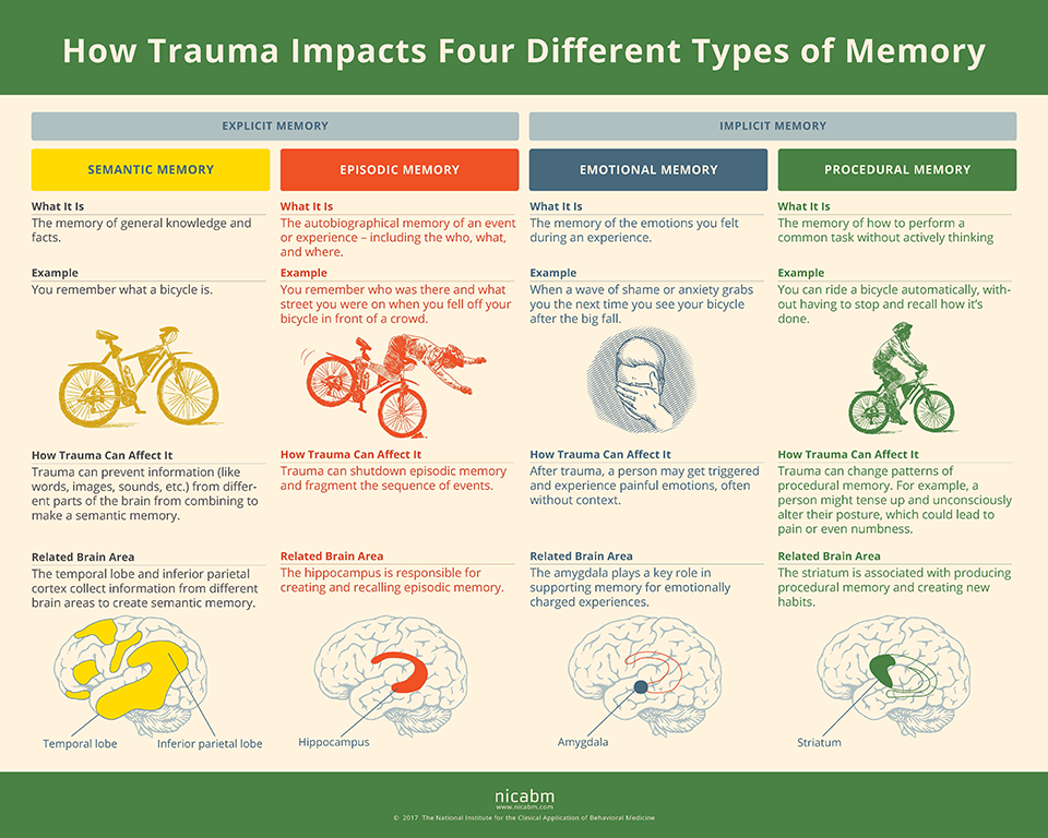 Trauma infographic