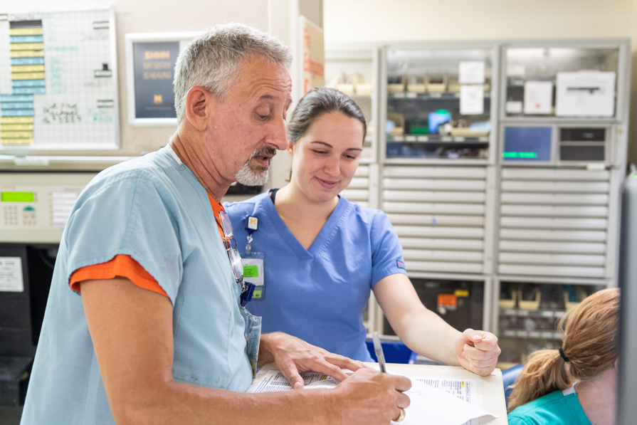 Clinical placements student with mentor