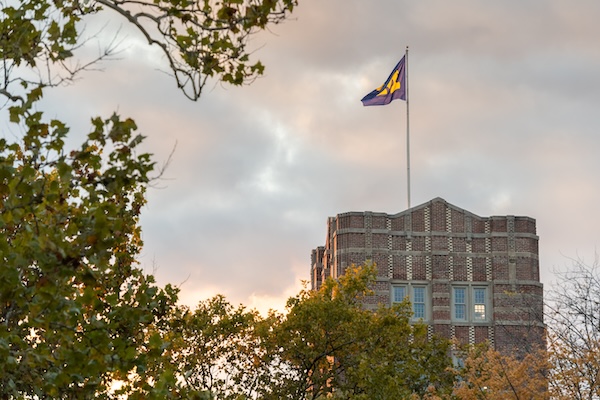 UM Flag