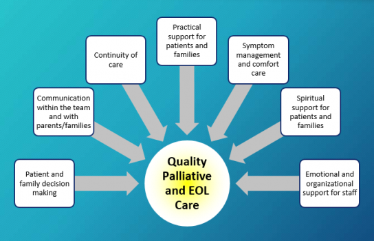 8 domains of palliative care