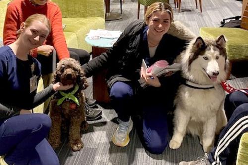 Students posting with Therapaws dogs. 